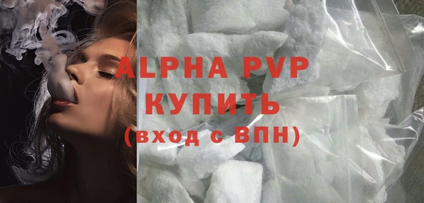 прущие грибы Вяземский