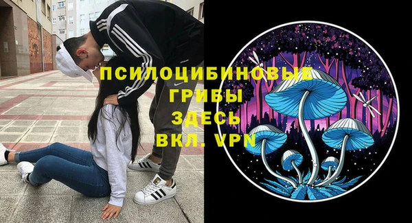apvp Вязники