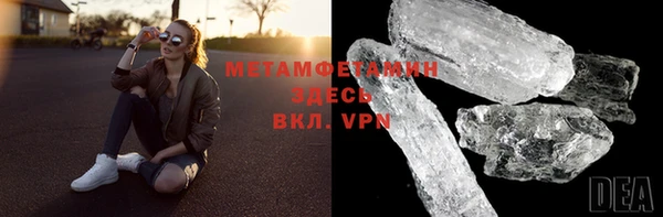 прущие грибы Вяземский