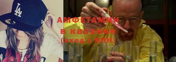 прущие грибы Вяземский