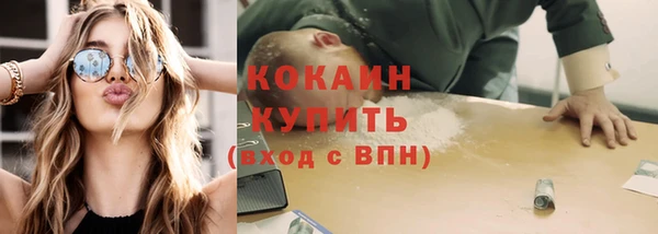 прущие грибы Вяземский