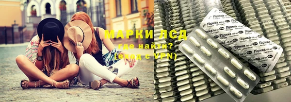 прущие грибы Вяземский