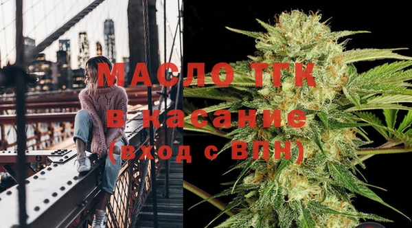 прущие грибы Вяземский