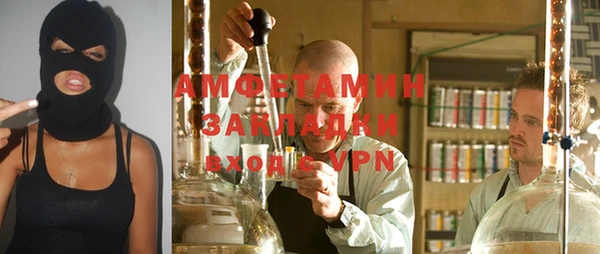 прущие грибы Вяземский