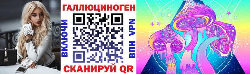 Галлюциногенные грибы GOLDEN TEACHER  Купить  Кувандык 