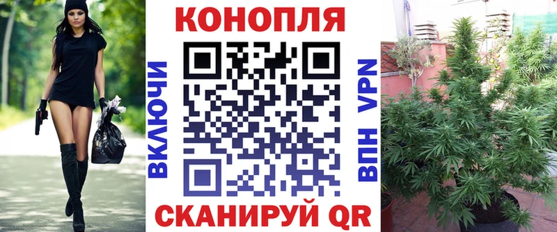 Купить где  Кувандык  Марихуана VHQ 